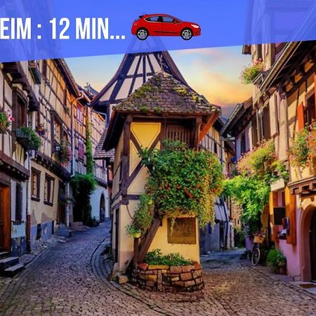 Le Blue St Leon : 2 Pieces Cozy Lit King Size Wifi Apartment กอลมาร์ ภายนอก รูปภาพ