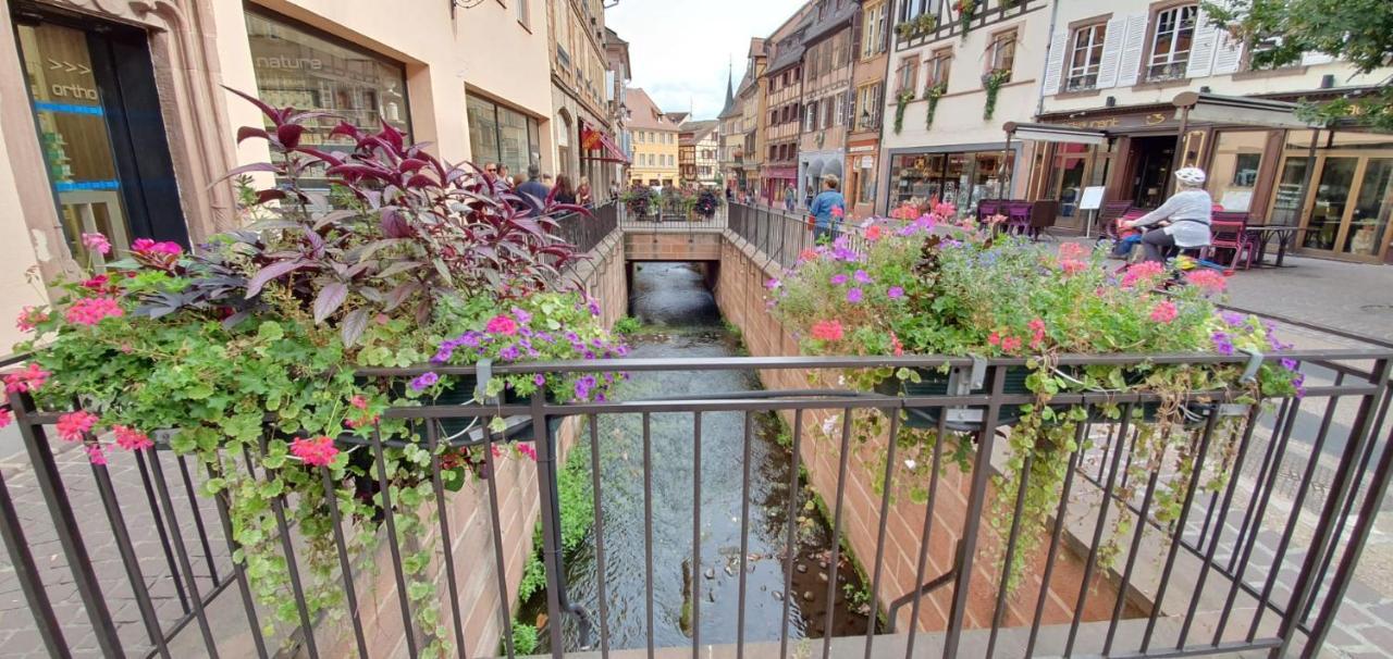 Le Blue St Leon : 2 Pieces Cozy Lit King Size Wifi Apartment กอลมาร์ ภายนอก รูปภาพ