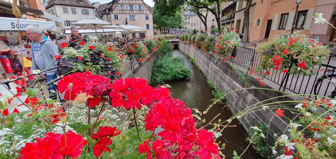 Le Blue St Leon : 2 Pieces Cozy Lit King Size Wifi Apartment กอลมาร์ ภายนอก รูปภาพ